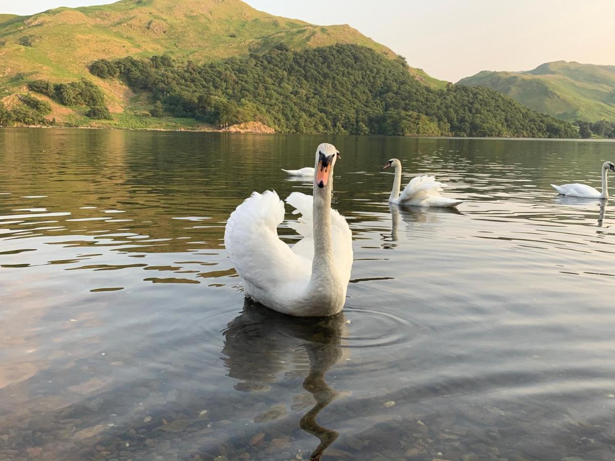 The Ullswater View Guest House Watermillock Екстериор снимка